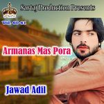Armanas Mas Pora, Vol. 60-61