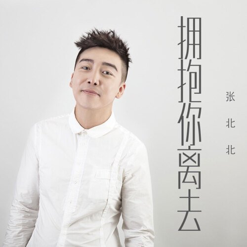 拥抱你离去 (DJ 王弦 Extended版) cover art