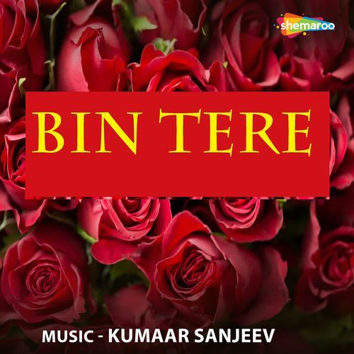 Bin Tere