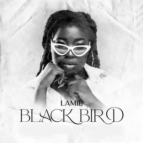 Black Birdie – ​get over it Lyrics
