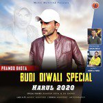 Budi Diwali Special Harul 2020 - Single