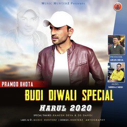 Budi Diwali Special Harul 2020 - Single