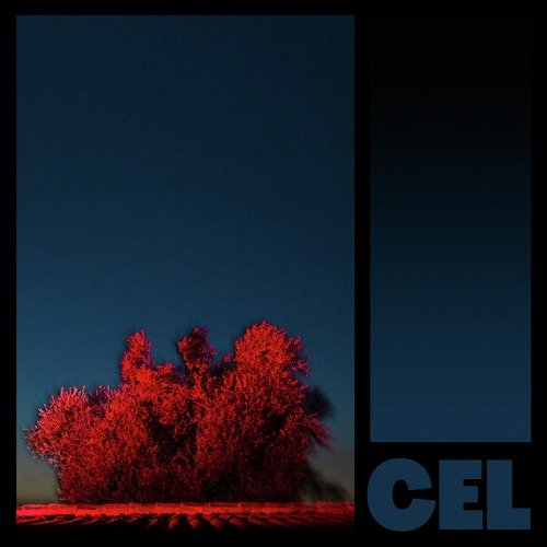 Cel cover art