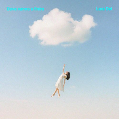 DOVE VANNO A FINIRE cover art