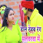 Daal Dehab Rang Salavarava Mein