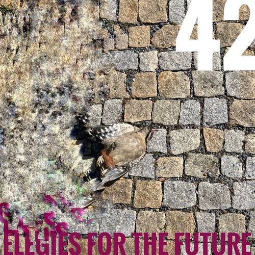 ELEGIES FOR THE FUTURE