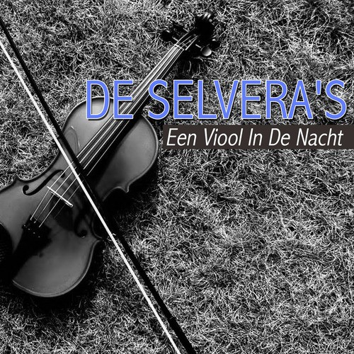 Een Viool In De Nacht cover art