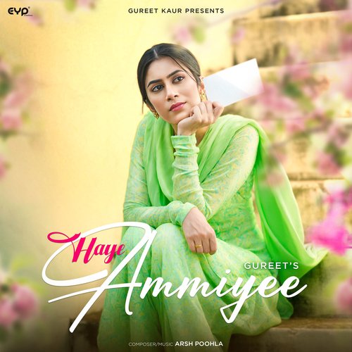 Haye Ammiyee_poster_image