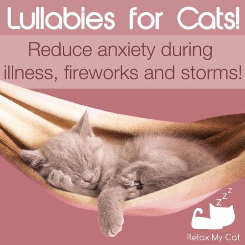 Lullabies for Cats! - Reduce Anxiety During Illness, Fireworks and Storms!