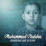 Muhammad Hadi Assegaf