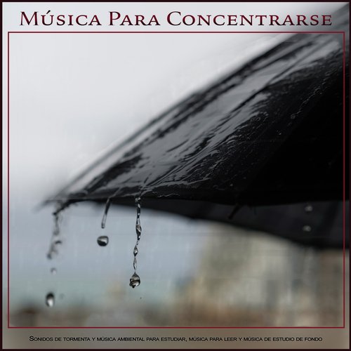 Estudiando música cover art