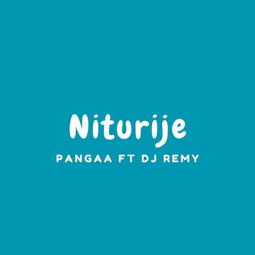 Niturije cover art