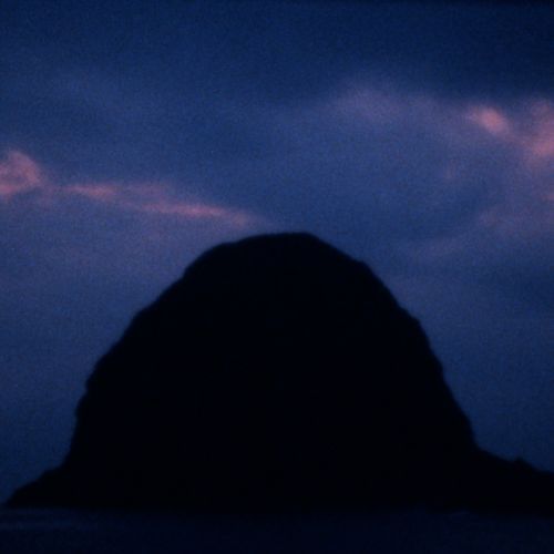 Rosa Canina (Mary Lattimore Rework)