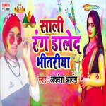 Sali Rang Daled Bhitariy