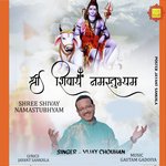 Shree Shivay Namastubhyam