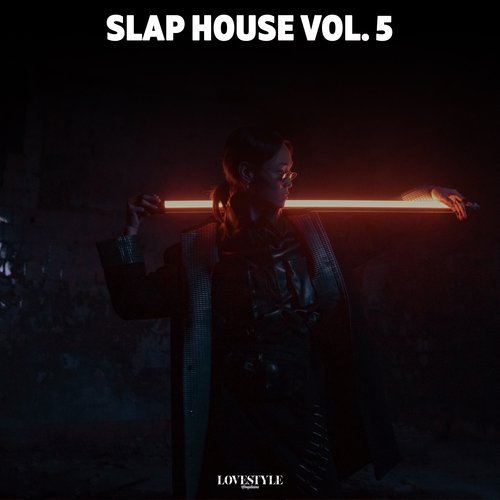 Slap House, Vol. 5_poster_image