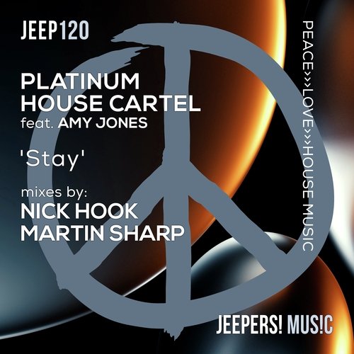 Stay (Nick Hook Remix) cover art