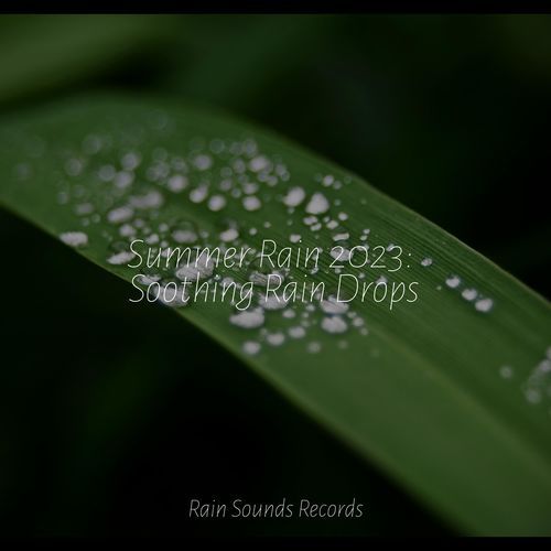 Summer Rain 2023: Soothing Rain Drops_poster_image