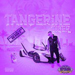 Purple Tiger Intro (Chopnotslop)