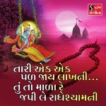 Tari Ek Ek Pal Jaaye Lakh Ni Tu To Mala Re Japi Le RadheShyam Ni