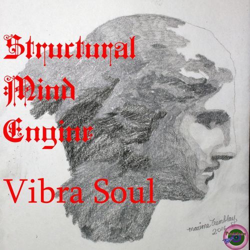 Vibra Soul cover art