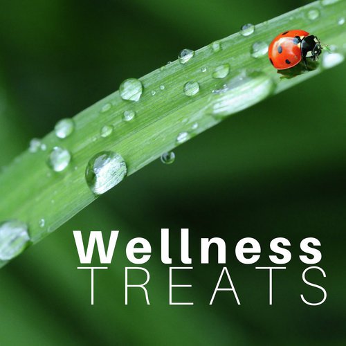 Wellness Treats cover art