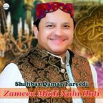 Zameen Maili Nahi Hoti