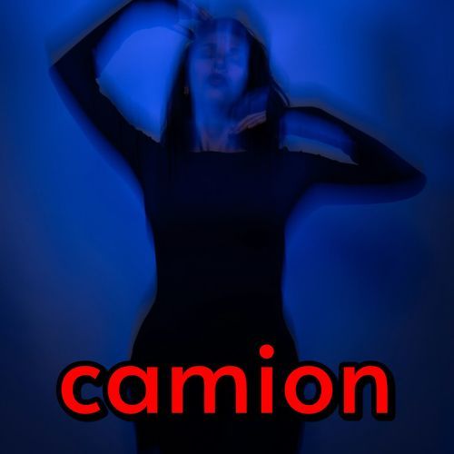 camion cover art