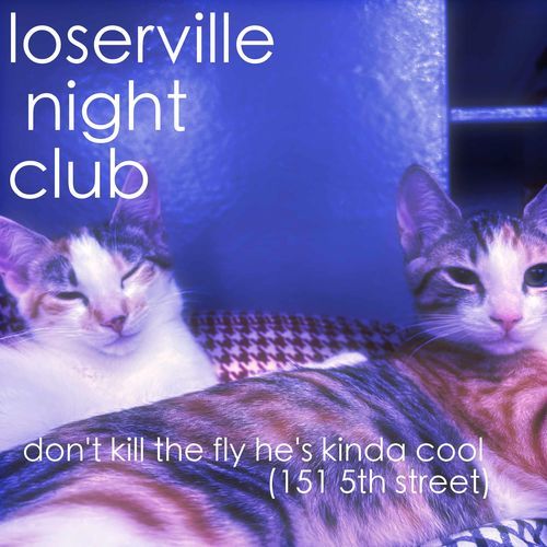 don't kill the fly he's kinda cool (151 5th street) cover art