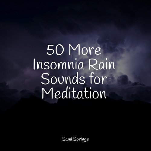 50 More Insomnia Rain Sounds for Meditation_poster_image