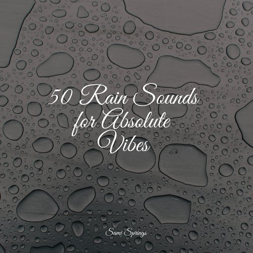 50 Rain Sounds for Absolute Vibes