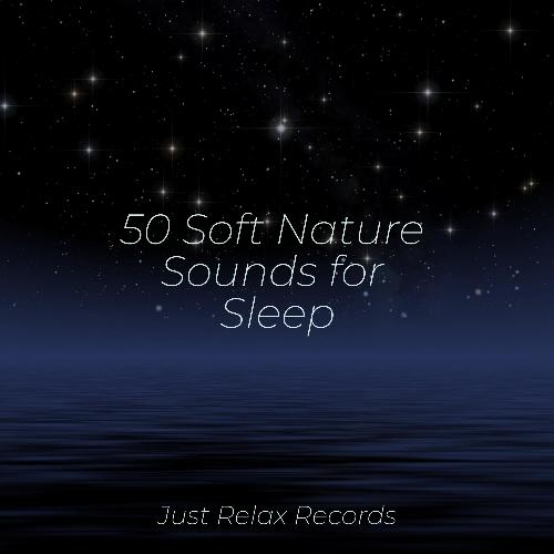 50 Soft Nature Sounds for Sleep