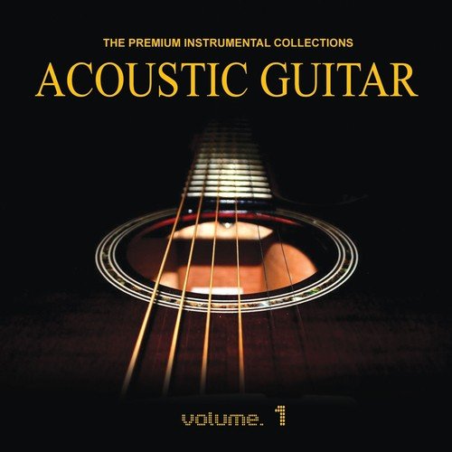 Acoustic Guitar, Vol. 1 (The Premium Accoustic Guitar)