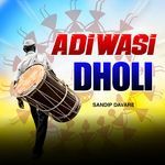 Adiwasi Dholi
