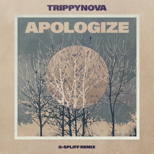 Apologize (G-Spliff Remix)_poster_image