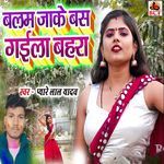 Balam Jake Bas Gaila Bahra