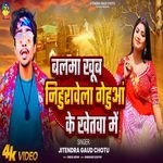 Balma Khub Nihuravela Gehua Ke Khetawa Me