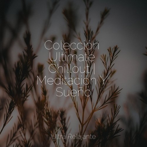 Ecos Celestiales cover art