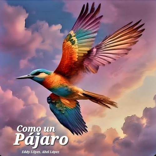 Como un Pájaro