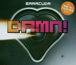 Damn! (Remember the Time) (Original Radio)