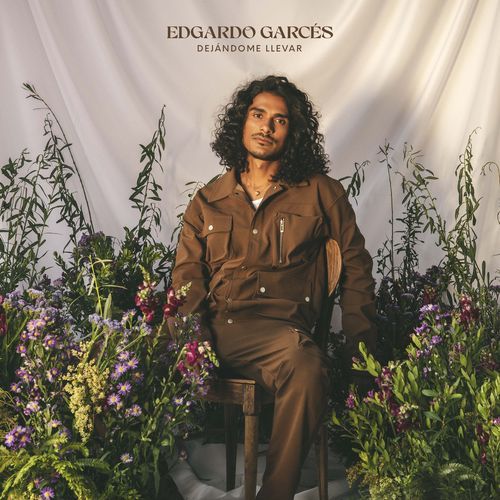 Dejándome Llevar cover art
