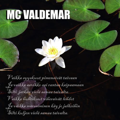 Elävöitä cover art