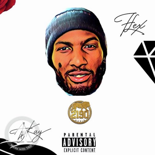 Flex cover art