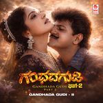 Gandhada Gudi - II