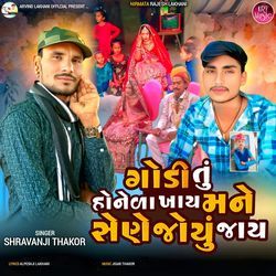 Godi Tu Honela Khay Mane Sene Joyu Jay