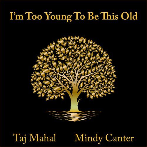 I'm Too Young to Be This Old_poster_image