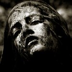 Que des yeux vides et séchés