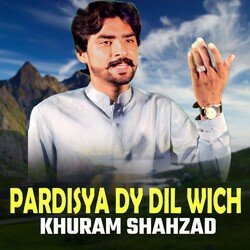 Pardisya Dy Dil Wich-Rg8Dbj5YXHk