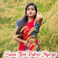 Sasu Ton Palyo Murgo-FiNSABl0VWs