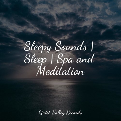 Sleepy Sounds | Sleep | Spa and Meditation_poster_image